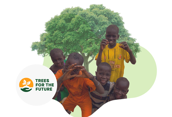 Trees.org is a trusted caremiles forestation partner